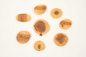 Abstract applewood brooch