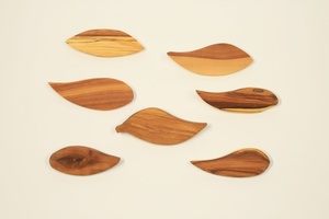 Leaf style applewood brooch